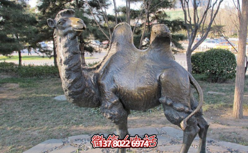 創(chuàng)意大型玻璃鋼駱駝雕塑，在草地上擺放，一眼回頭